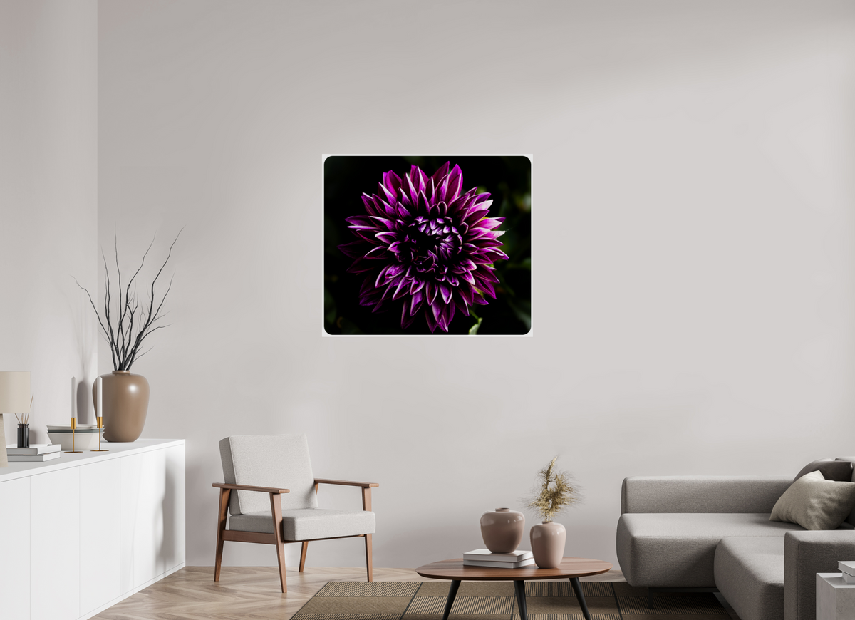 40.4 x 35″, Photo Print Under Acrylic Glass The spring flower collection-8 Under acrylic glass