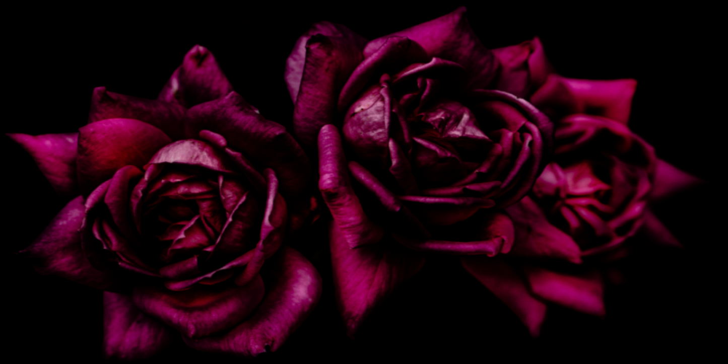 Main image The Spring Flower collection-2 Print Under Acrylic Glass