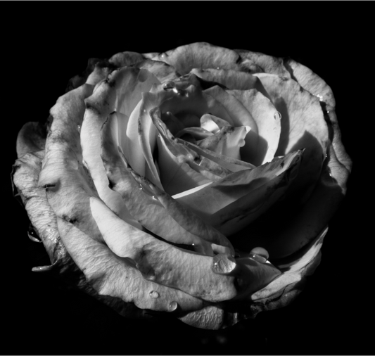 Main image The Spring Flower collection-1