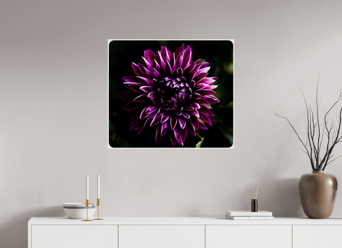 32.3 x 28″, Photo Print On Fuji Crystal DP II The spring flower collection-8