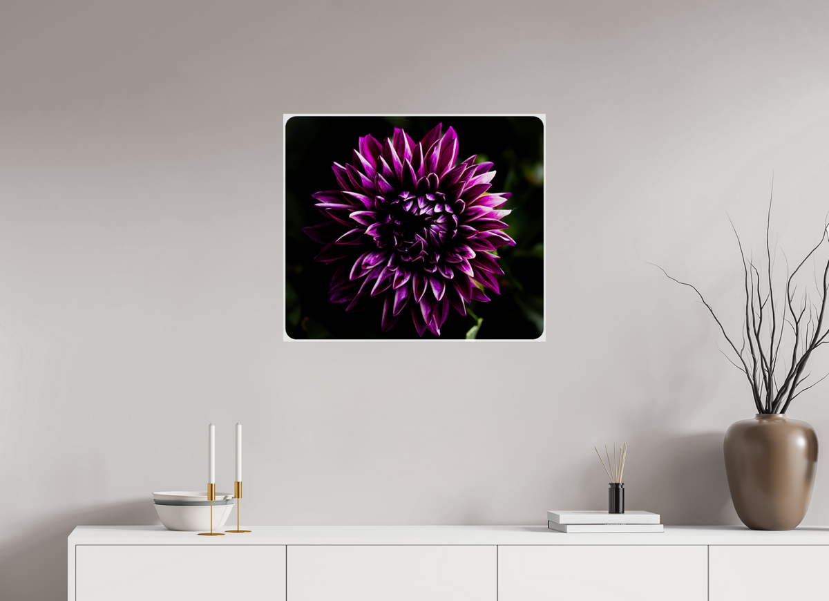 27.7 x 24″, Photo Print On Fuji Crystal DP II The spring flower collection-8