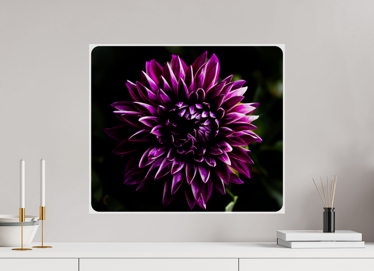 23.1 x 20″, Photo Print Under Acrylic Glass The spring flower collection-8 Under acrylic glass
