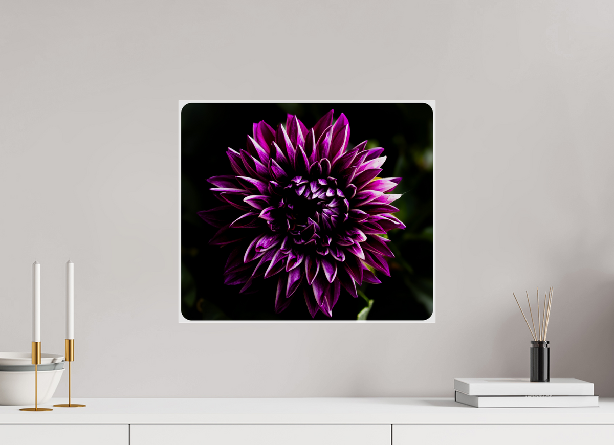 18.5 x 16″, Photo Print Under Acrylic Glass The spring flower collection-8 Under acrylic glass