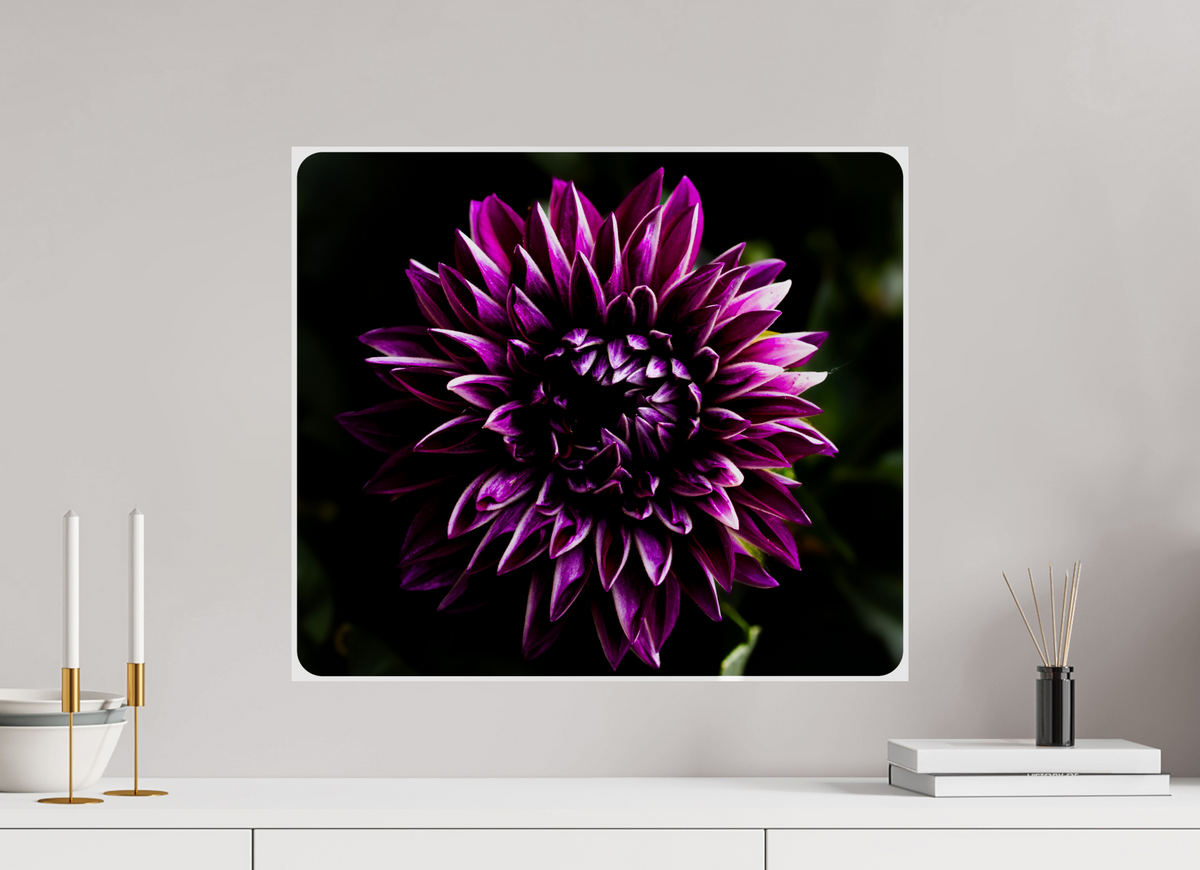 23.1 x 20″, Photo Print On Fuji Crystal DP II The spring flower collection-8