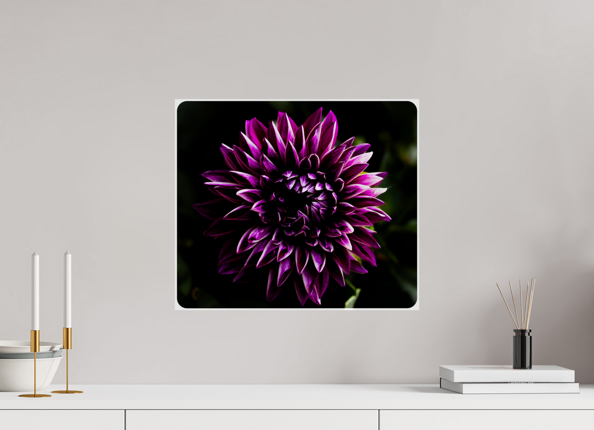 18.5 x 16″, Photo Print On Fuji Crystal DP II The spring flower collection-8