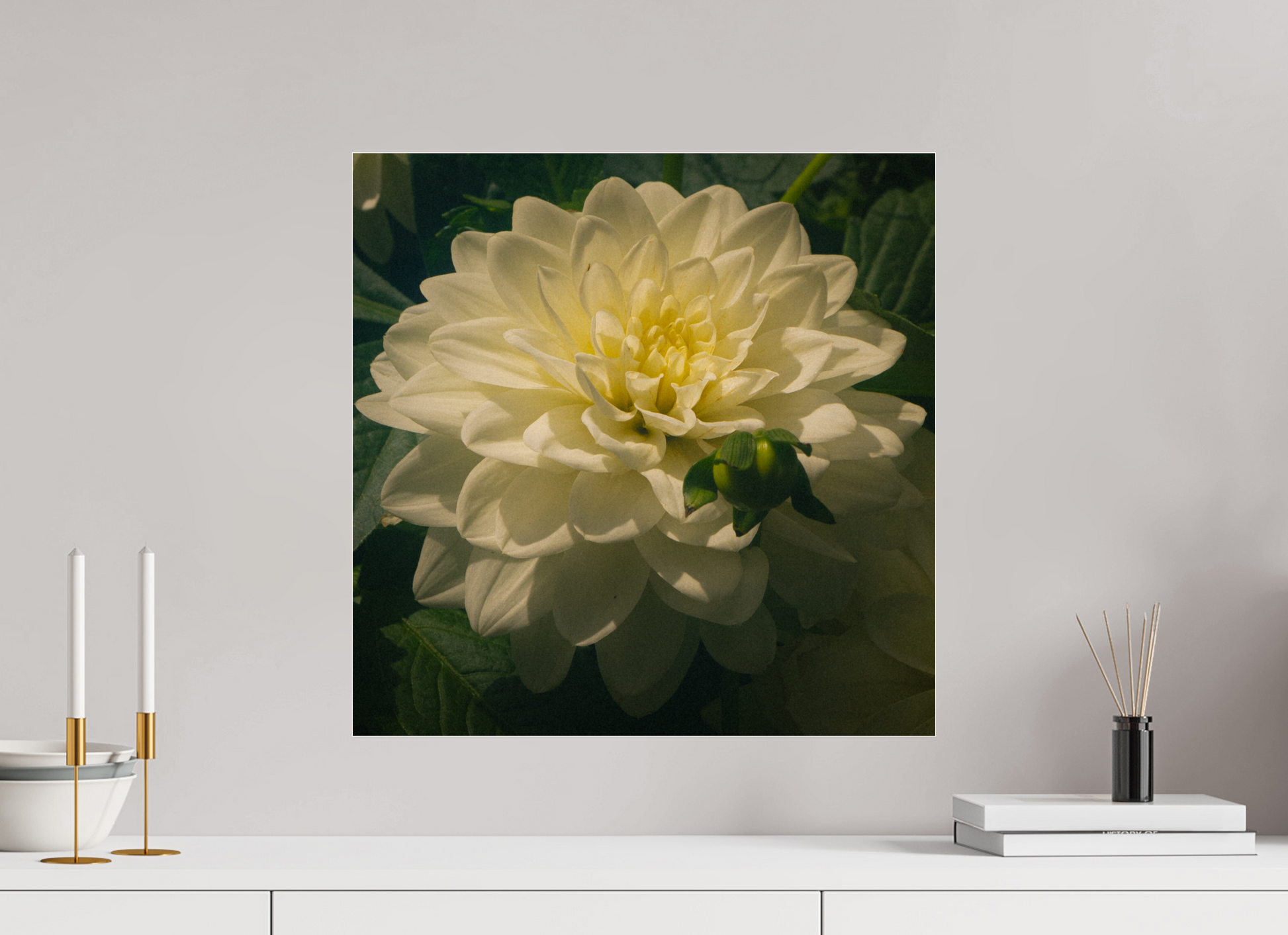 20 x 20″, Photo Print Under Acrylic Glass The spring flower collection-3 Under acrylic glass