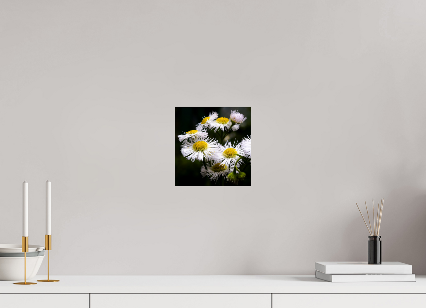 8 x 8.3″, Photo Print On Fuji Crystal DP II Blooming in spring