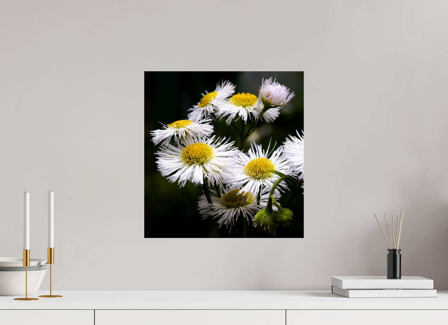16 x 16.7″, Photo Print On Fuji Crystal DP II Blooming in spring