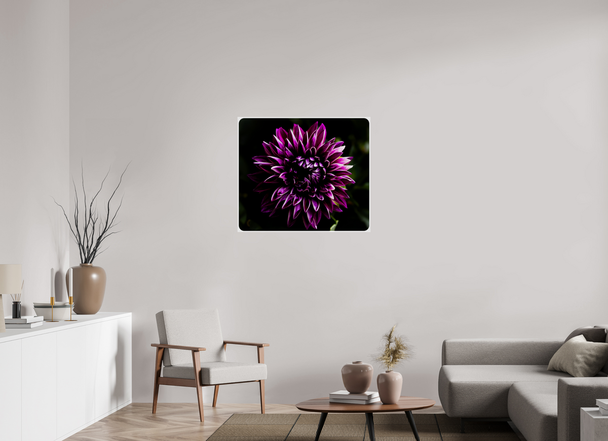 35.8 x 31″, Photo Print Under Acrylic Glass The spring flower collection-8 Under acrylic glass