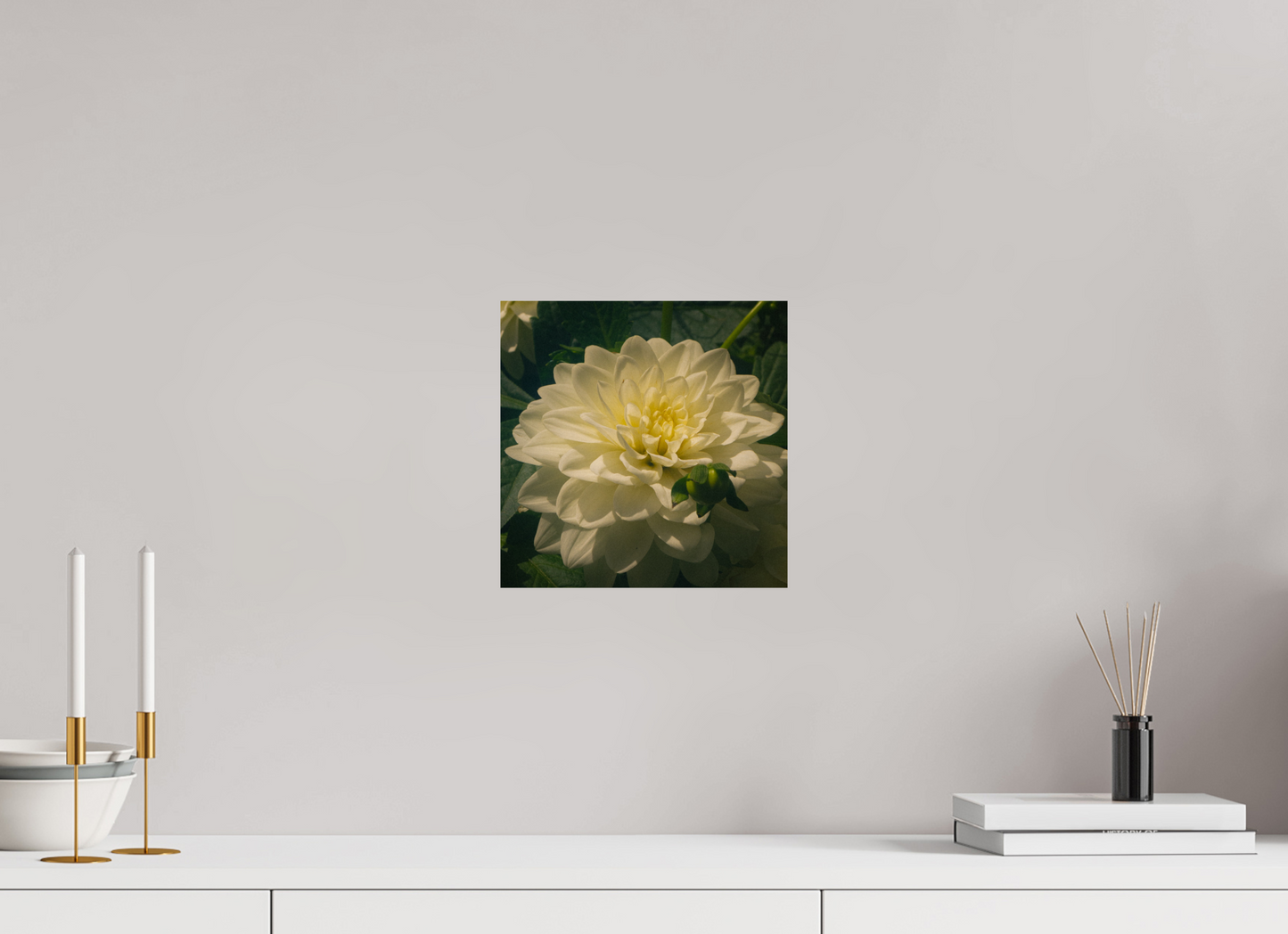 10 x 10″, Photo Print On Fuji Crystal DP II The spring flower collection-3