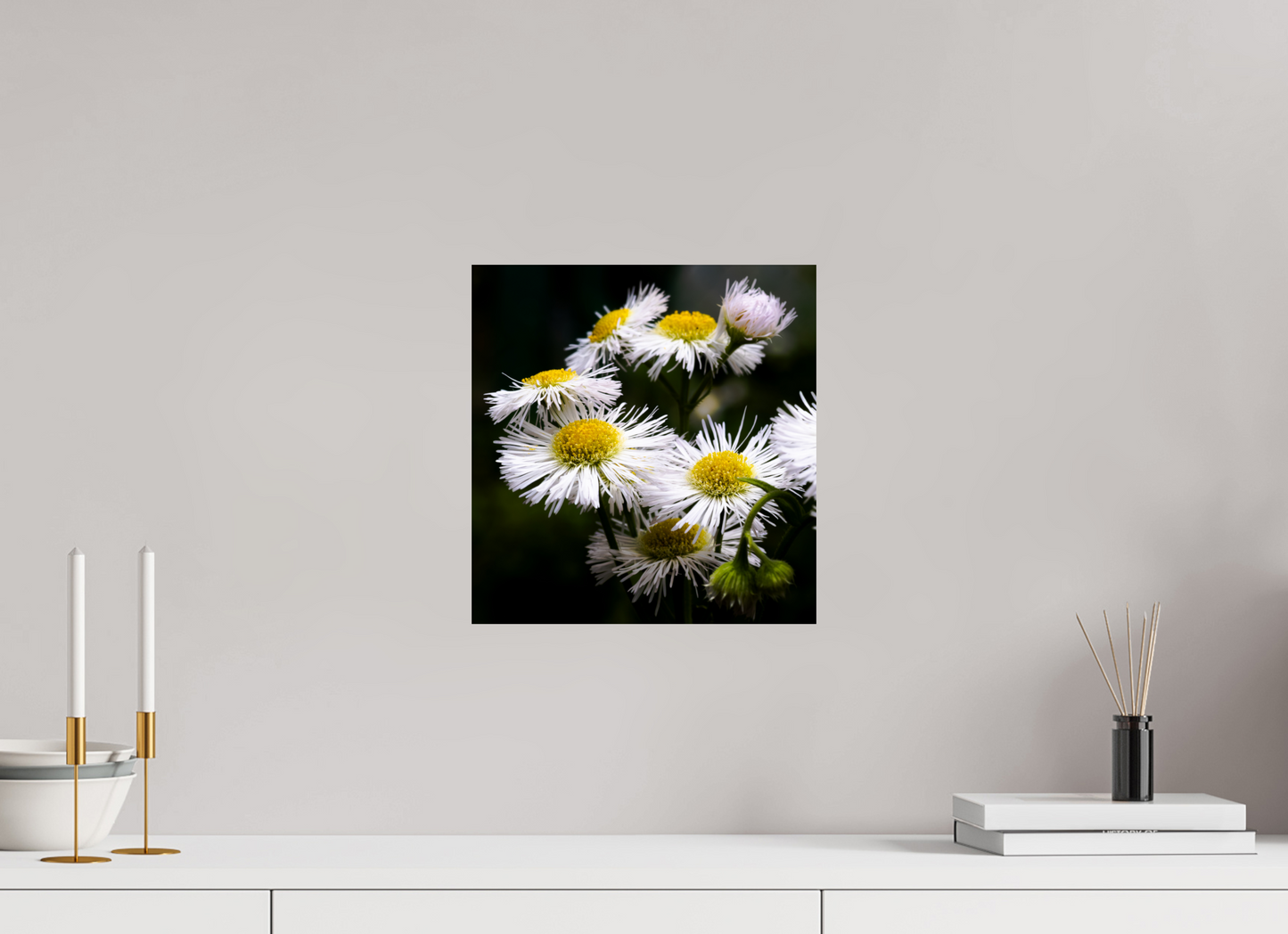 12 x 12.5″, Photo Print On Fuji Crystal DP II Blooming in spring