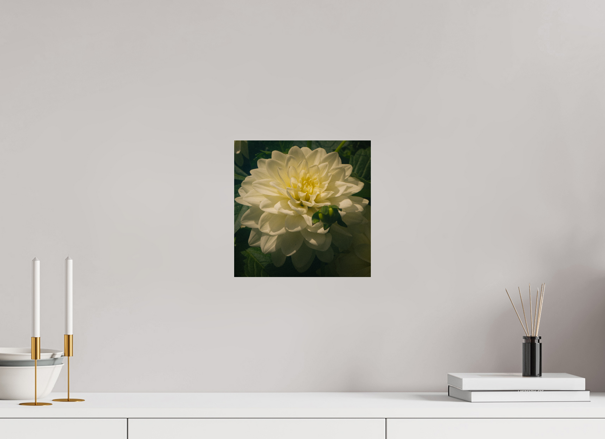 10 x 10″, Photo Print Under Acrylic Glass The spring flower collection-3 Under acrylic glass