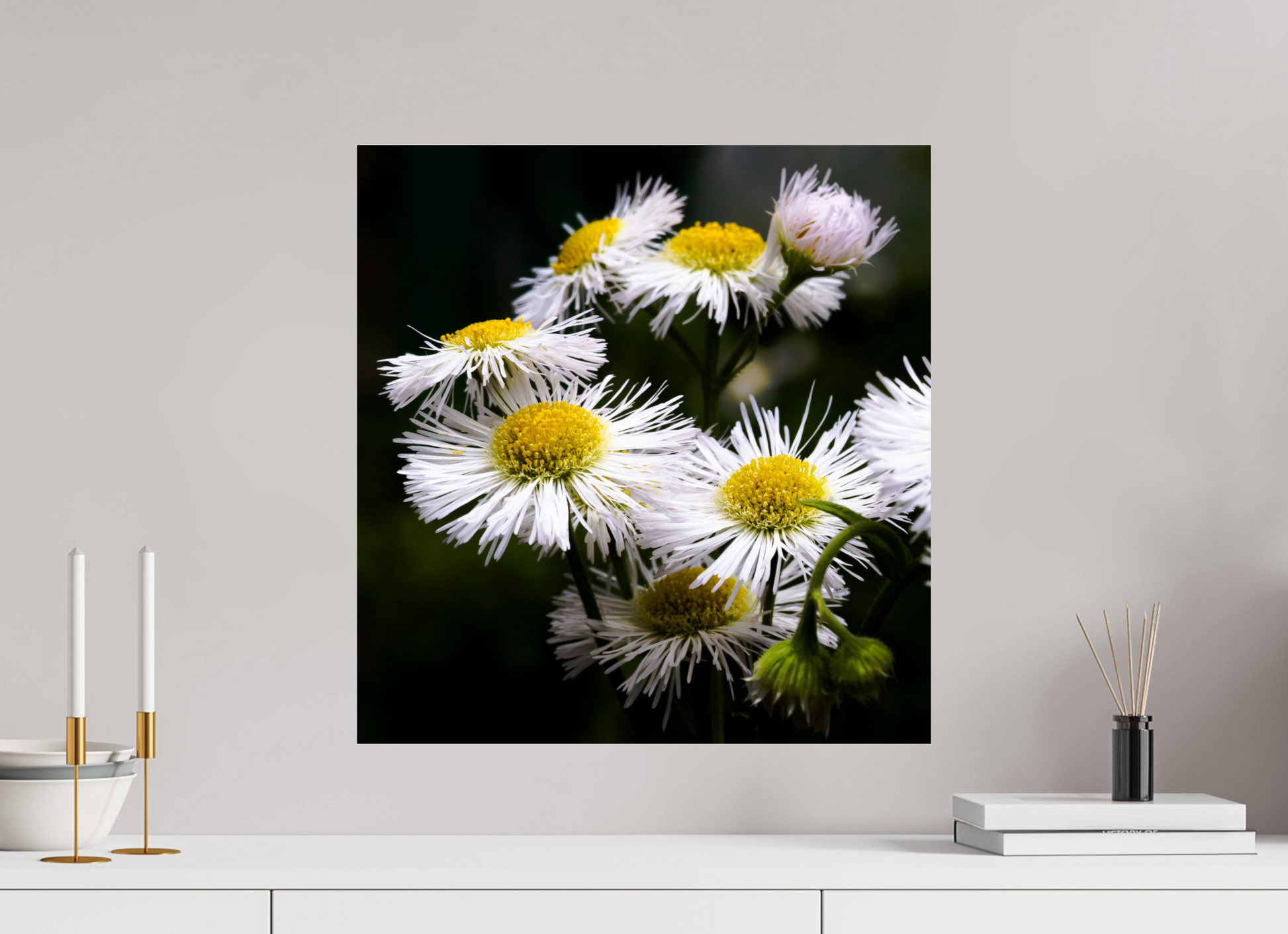 20 x 20.9″, Photo Print On Fuji Crystal DP II Blooming in spring
