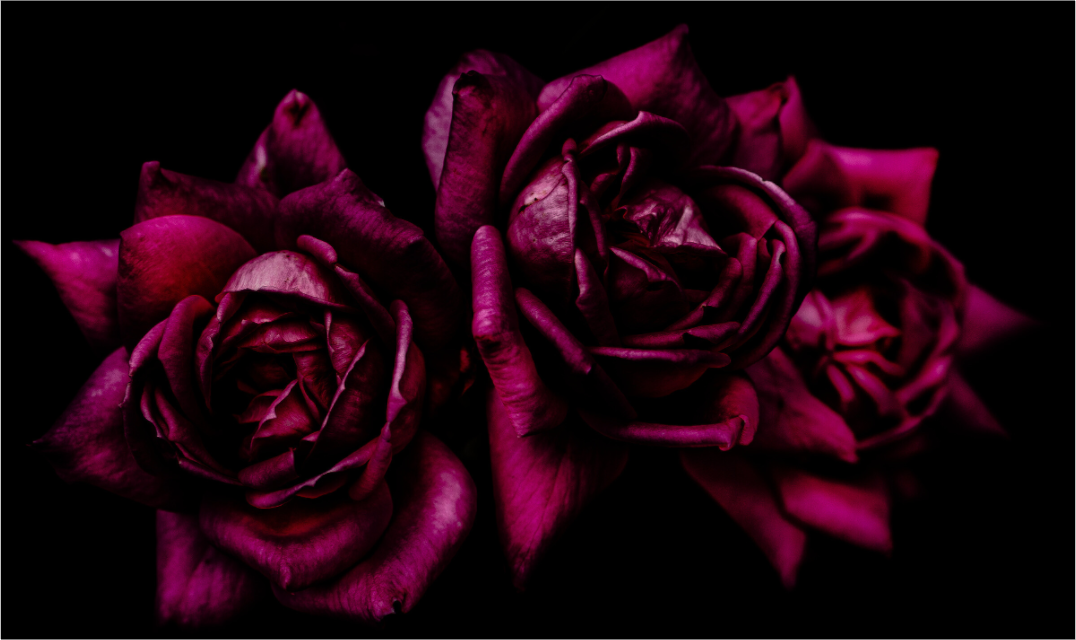 Main image The Spring Flower collection-2