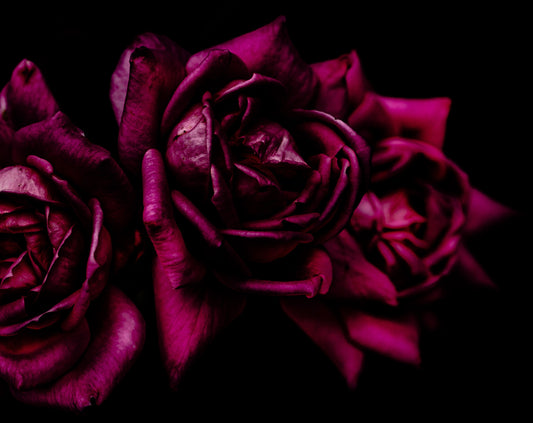 The Spring Flower collection-2 Print Under Acrylic Glass