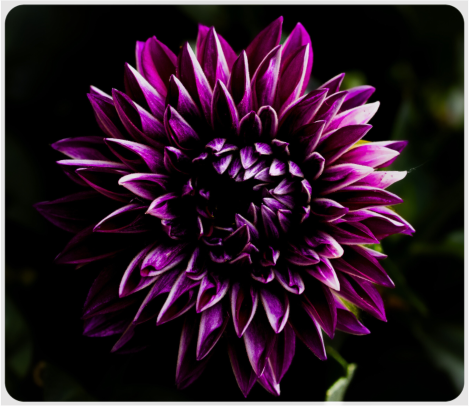 Main image The spring flower collection-8 Under acrylic glass