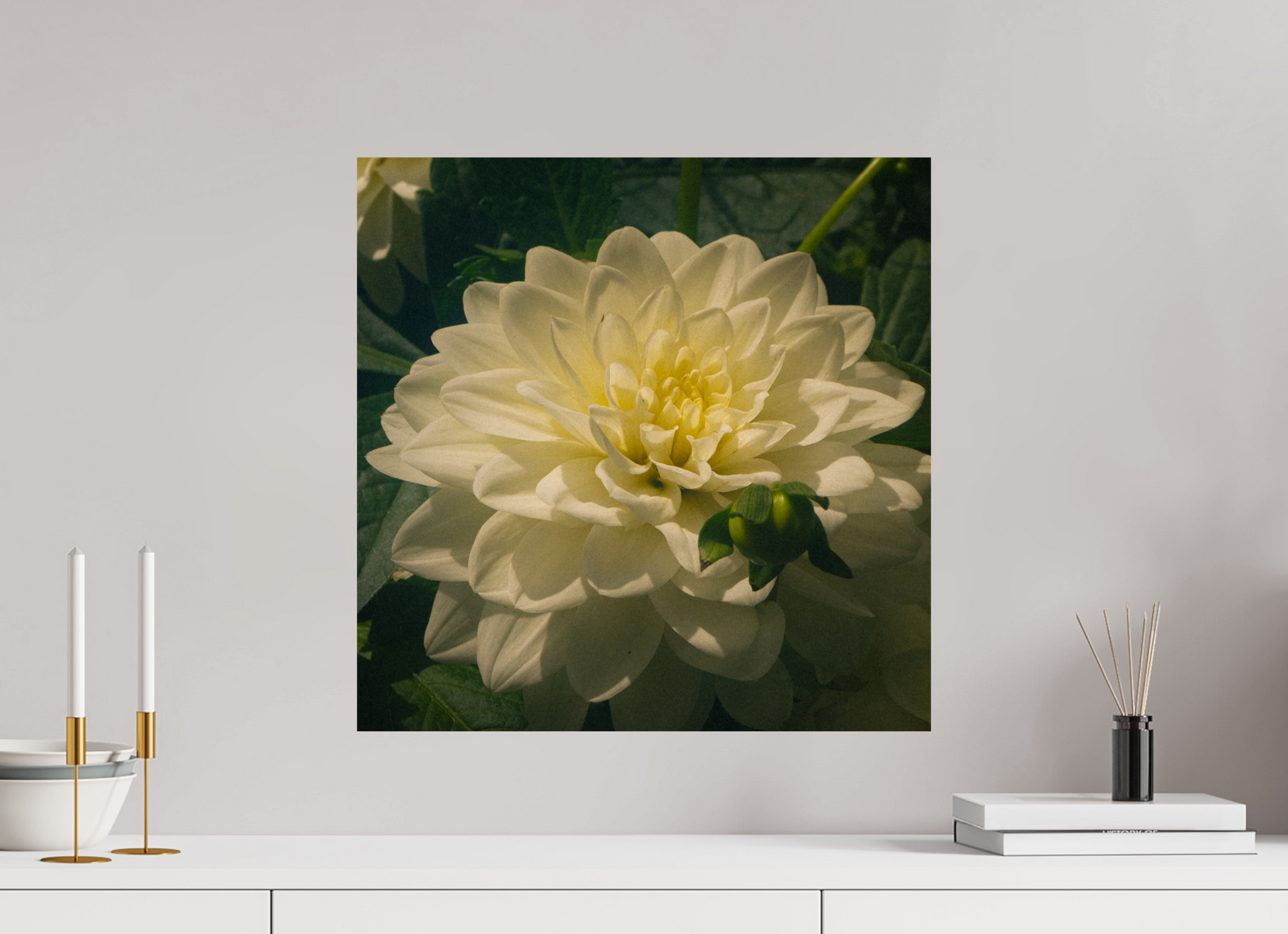 20 x 20″, Photo Print On Fuji Crystal DP II The spring flower collection-3